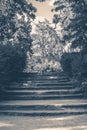 Old vintage photo. Park forest steps