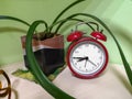 Old vintage red alarm clock standing on a wooden office desk. Bells ring and clock shakes on time. Office workstation in a Royalty Free Stock Photo