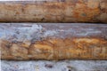 Old vintage rustic antique wood panel made of logs