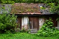 Old rustic shabby small shed in grass and woods Royalty Free Stock Photo
