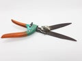 Old Vintage Rusty Used Gardening Scissor in White Isolated Background 03