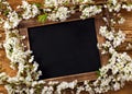 Old vintage school slate with flowers Royalty Free Stock Photo