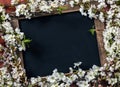 Old vintage school slate with flowers Royalty Free Stock Photo