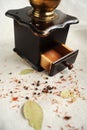 Old vintage spice grinder Royalty Free Stock Photo