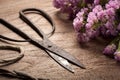 Old Vintage steel scissors on wooden table with flower