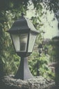 Old vintage street lamp lantern with green leaf tree. Royalty Free Stock Photo