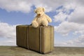 Old vintage suitcase with teddy