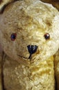 Old vintage teddy bear Royalty Free Stock Photo