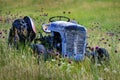 Old Vintage Tractor Antique in Field with Flowers Abandoned Royalty Free Stock Photo