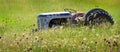 Old Vintage Tractor Antique in Field with Flowers Abandoned Royalty Free Stock Photo