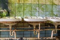 Old Vintage washbasin retro image Royalty Free Stock Photo