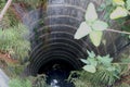 Old vintage well with some unwanted plant