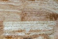 Old vintage wood background.