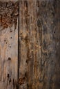 Old vintage wood barn door texture background Royalty Free Stock Photo