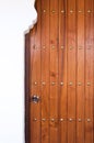Old Vintage wood door with locks