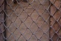 Old Vintage Wood Panel With Iron grid Pattern. mesh fabric Royalty Free Stock Photo