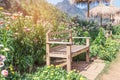 Old vintage wooden bench in the garden public park Royalty Free Stock Photo