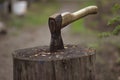 Old vintage axe for chopping wood and stumps Royalty Free Stock Photo