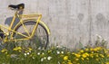 Old vintage yellow bicycle stands near concrete wall with grass, overgrown with weeds and wildflowers on a summer sunny day. Illus Royalty Free Stock Photo