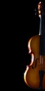 Old violin. Royalty Free Stock Photo