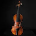 Old violin Royalty Free Stock Photo