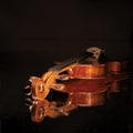 Old violin Royalty Free Stock Photo