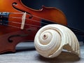 Old sea shell and violin music instrument Royalty Free Stock Photo