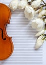 Old violin and blossoming magnolia brances on the white note paper. Top view, close-up