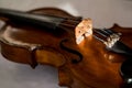 Old violin close up Royalty Free Stock Photo