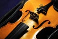 Old violin Royalty Free Stock Photo