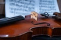 Old violin in details, with white background, wooden music instrument