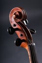 Old Violin head on gray background Royalty Free Stock Photo