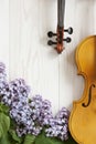 Old Violin and lilac flowers on white wooden background. Stringed musical instrument. Close up, top wiev, Love spring background Royalty Free Stock Photo