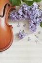 Old Violin and lilac flowers on white wooden background. Stringed musical instrument. Close up, top wiev, Love spring background Royalty Free Stock Photo