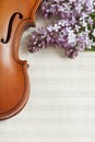 Old Violin and lilac flowers on white wooden background. Stringed musical instrument. Close up, top wiev, Love spring background