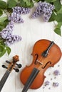 Old Violin and lilac flowers on white wooden background. Stringed musical instrument. Close up, top wiev, Love spring background