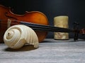 Violin, candle and old beautiful sea shell Royalty Free Stock Photo