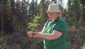 Old volunteer with the young tree in her hands Royalty Free Stock Photo