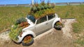 Old vw beetle car also known in part of world as bug parked planted many colorful flowers