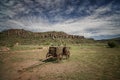 Old West Wagon Royalty Free Stock Photo