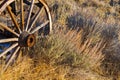 Old Wagon Wheel Royalty Free Stock Photo