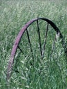 Old Wagon Wheel in Grass Royalty Free Stock Photo