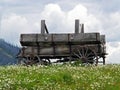 Old Wagon and White Daisies Royalty Free Stock Photo