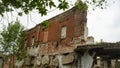 The Old wall in the an abandoned wrecked house with empty windows and doorway overgrown with green ivy and plants Royalty Free Stock Photo