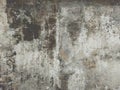 Old wall or board texture Royalty Free Stock Photo
