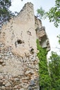 old wall from a castle ruin in the woods Royalty Free Stock Photo