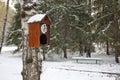 An old wall clock with cuckoo as a birdhouse in the winter park Royalty Free Stock Photo