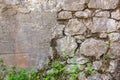 The old wall of cobbles is covered with plants Royalty Free Stock Photo