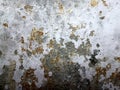 Old Wall damaged with blown Plaster and paint clog,peeling paint damage,water damage on building wall.Grunge abstract background.