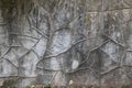 Old wall with decorative plaster. Weathered rough surface